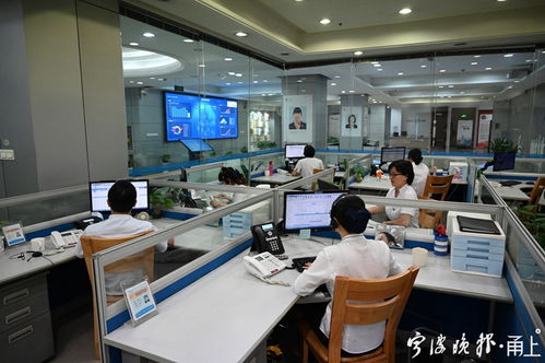 群众有困难，拨一拨就灵 宁波81890二十载创新服务，筑起信息咨询“连心桥”